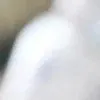 Диван Бадди Melissa 17