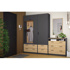 Прихожая Оттавия Комплектация 1, Антрацит/Дуб Крафт Золотой